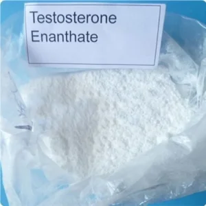 Testosterone Enanthate Powder