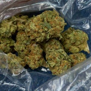 White widow marijuana