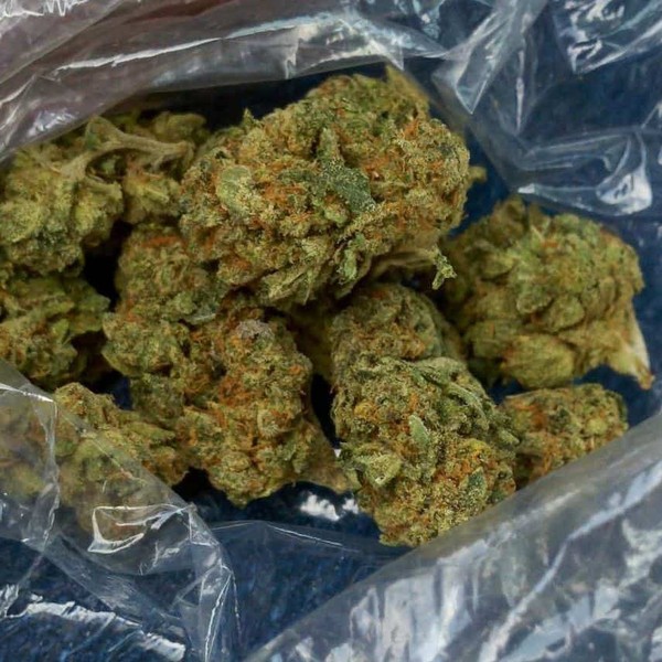 White widow marijuana