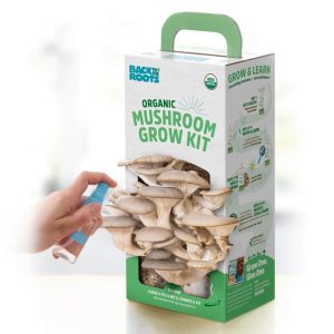 Mushroom Grow Kits UK